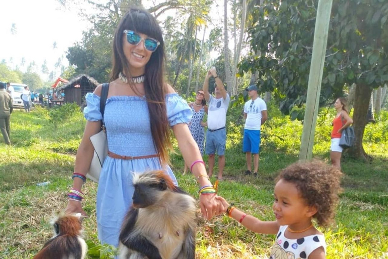 Wycieczka z delfinami Mnemba, las Jozani i restauracja The RockMiejsce zbiórki wyłącznie w Mnemba Transfer Point