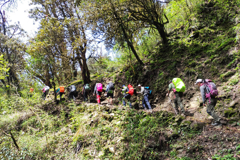 Annapurna View: Short trek to Poonhill-From PokharaAnnapurna View: Short trek to Poonhill