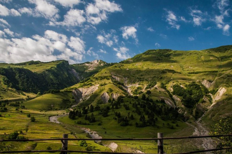 Från Tbilisi: Dagsutflykt till Kazbekberget och Ananurifästningen