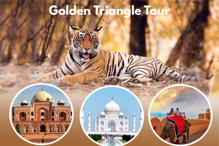 From Delhi: Multiday Golden Triangle Tour with Tiger Safari 4-days Golden Triangle Tour without Hotel