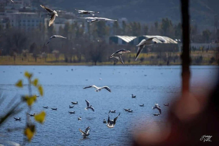 Tirana: Highlights Tour der historischen JuwelenJuwelen von Tirana