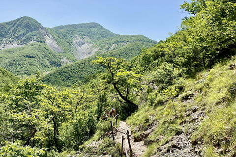 Excursion d&#039;une journée en Land Rover à la montagne Dajti et à la cascade Shengjergj