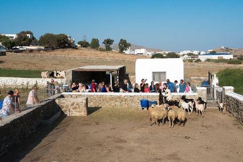 Mykonian Farm Entrance Ticket with Sweet Treat