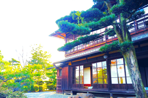 Aichi: Meiji Village & Japan’s Modernization Journey 5h Immersive option