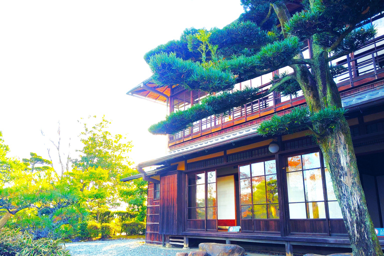 Aichi: Meiji Village & Japan’s Modernization Journey 5h Immersive option
