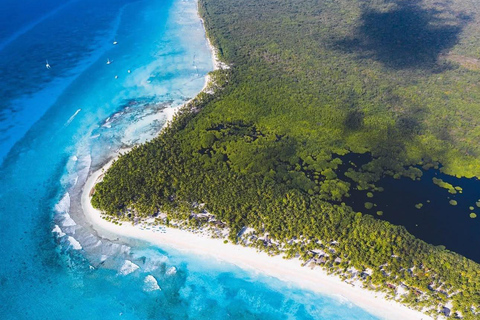 From Uvero Alto: Classic Catamaran Cruise to Saona Island