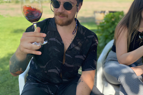 Santiago: Privétour naar Aquitania Wijnmakerij en Bahá&#039;í Tempel