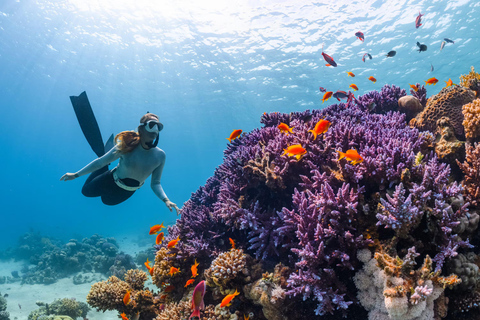 Alanya: Scuba Diving for Beginners & Certified Divers Scuba Diving for Beginners with Hotel Pick Up