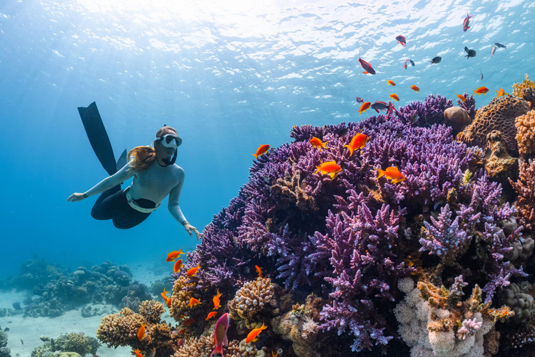 Alanya: Scuba Diving for Beginners & Certified Divers Scuba Diving for Beginners with Hotel Pick Up