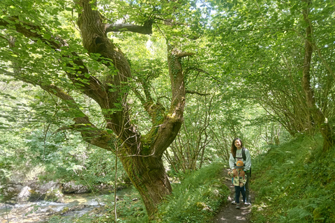 Rotas familiares: a natureza como um playground