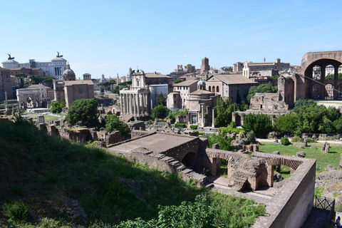 Rome: Colosseum Guided Tour