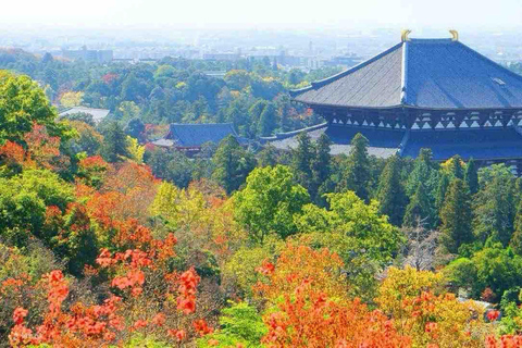 From Osaka/Kyoto: Nara Private Day Tour with Driver/Guide