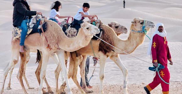 Sahara Desert: Overnight Camel Trek in Tunisia