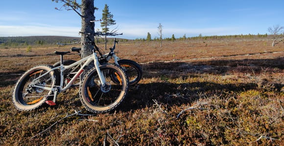 Guided Fatbike Tour in Ivalo