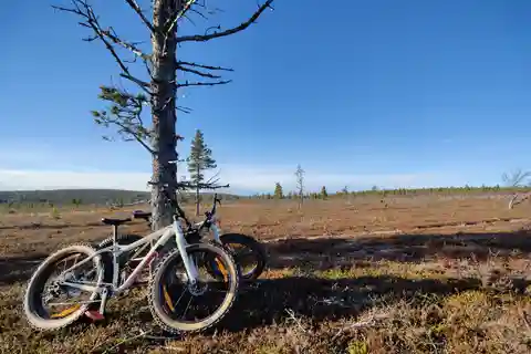 Wycieczka Fatbike Tour z przewodnikiem w Ivalo