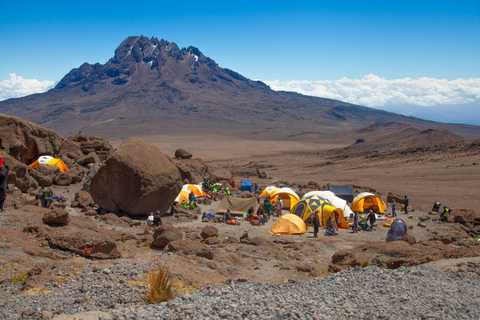 8 Dagen Beklim de Kilimanjaro via de Lemosho Route