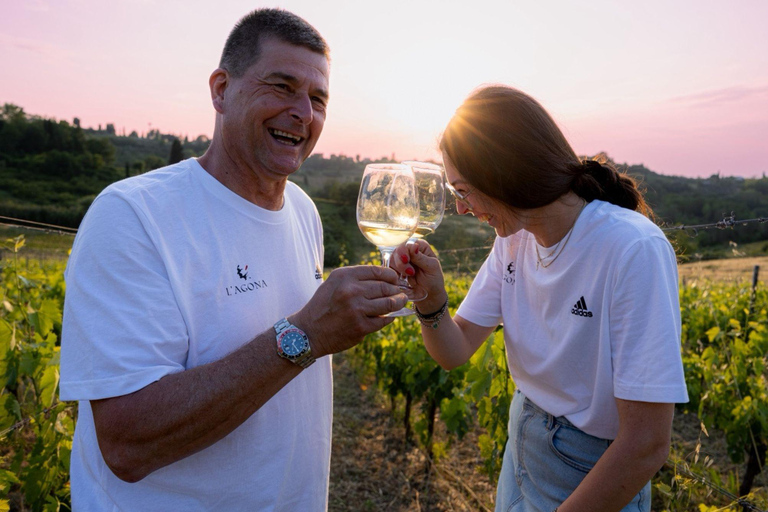 Soiana: tour dei vigneti e della cantina con degustazione di vini vicino a PisaInglese