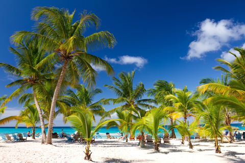 Catamarán Punta Cana a Saona con piscina natural