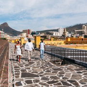 Kaapstad Stadswandeling Van Een Halve Dag En Afrikaanse Lunch