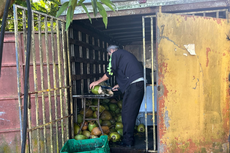 El Yunque Rainforest; Waterslides, Beach, Dine and Shop Tour El Yunque Rainforest Waterslides and Beach Tour