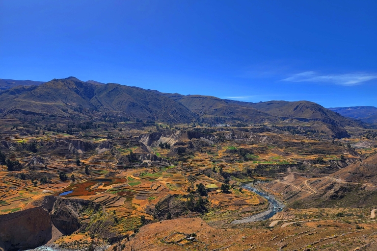 From Arequipa: 2 Day tour Colca Canyon with transfer to Puno