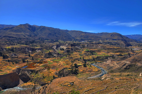 Von Puno: 2-Tages-Tour zum Colca Canyon mit Endstation in Arequipa