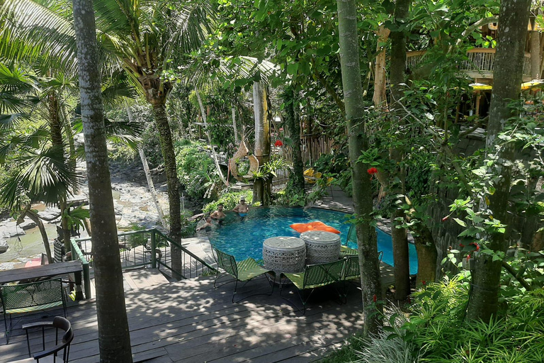 Ubud: Foresta di scimmie, terrazze di riso e cascateUbud: Foresta di scimmie, terrazza di riso e cascata