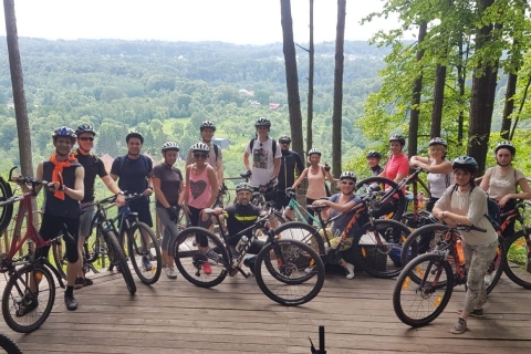 Explora el Parque Regional de Pavilniai en bicicleta de montaña
