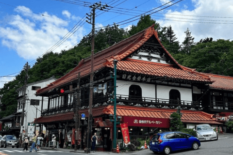 Depuis Tokyo : Nikko Visite privée en Prado de luxe Prix le plus bas