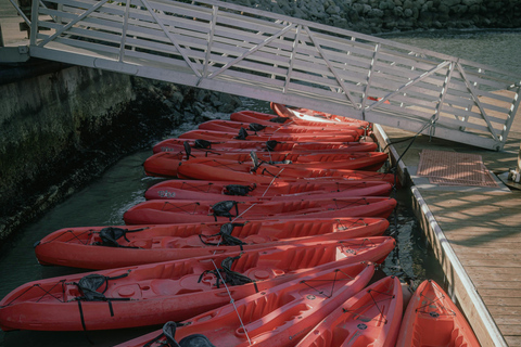 Vilnius: Neris River Night Kayaking Tour