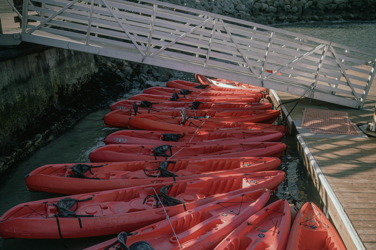 Vilnius: Neris River Night Kayaking Tour
