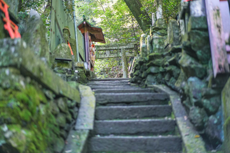 Kioto: tour de senderismo oculto de 3 horas por el santuario Fushimi Inari