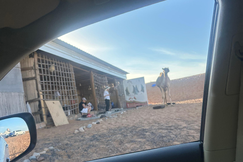 Muscat: Wadi Bani Khalid & Sunset at Wahiba Sands