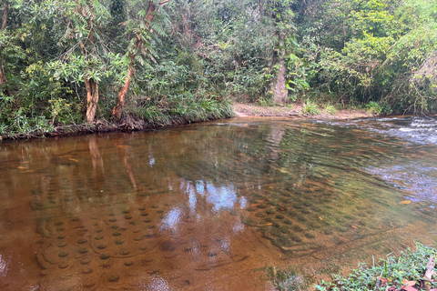 Siem Reap: Banteay Srei with Kulen Mountain & Picnic Lunch Private Tour