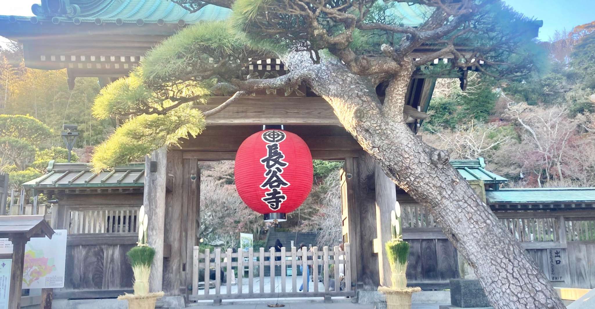 Kamakura, Half day Walking tour & Japanese sweets - Housity