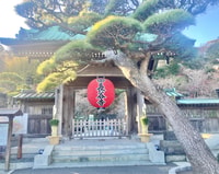 Kamakura, Half day Walking tour & Japanese sweets - Housity