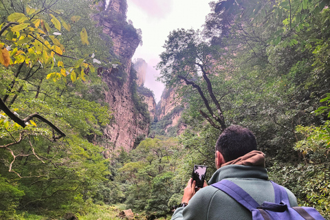 Zhangjiajie: National Forest Park Small Group Tour