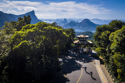 Rio de Janeiro: Botaniska trädgården Premium privat tur