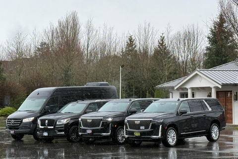 Whistler-Vancouver Private Charter Shuttle Whistler-Vancouver airport(Benz Van)