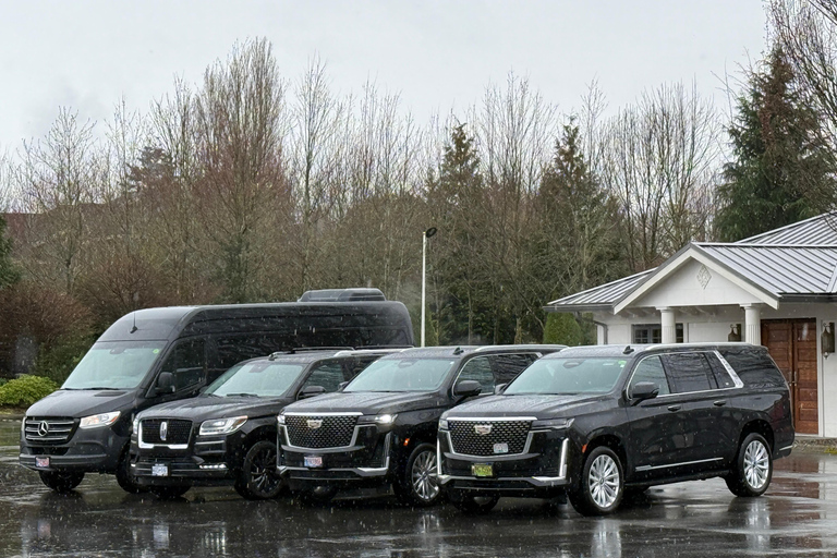 Whistler-Vancouver Private Charter Shuttle Whistler-Vancouver airport(Benz Van)