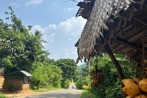Negombo: Fishing Village, Fish Market & Lagoon Tuk-Tuk Tour