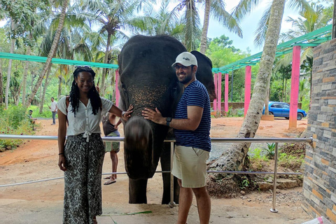 Colombo to Kandy Full-Day Private Tour Experience
