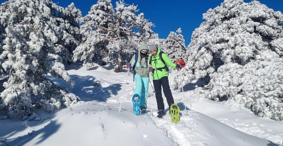 Sierra Nevada: Guided Snowshoe Tour