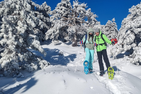 Madrid: Snowshoe tour