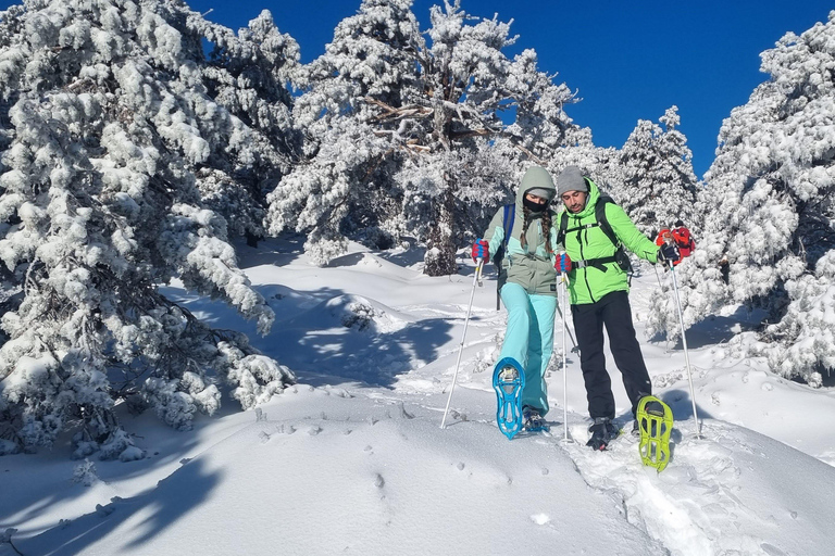 Madrid: Snowshoe tour