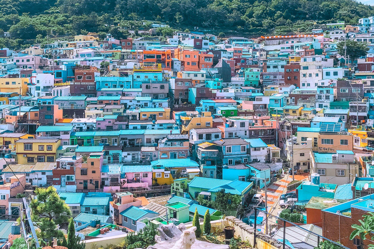 Busan : visite d&#039;une jounée Les activités incontournables à BusanBusan : visite d&#039;une jounée Activités incontournables à Busan