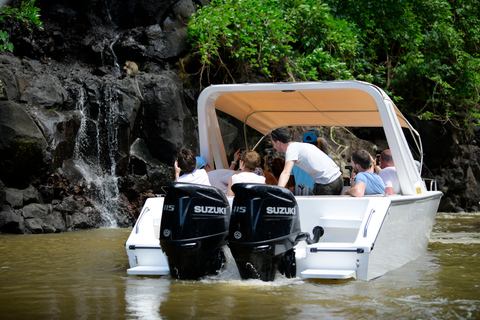 Mauritius: Motorówka Ile aux Cerfs, wodospad GRSE, grill, bar