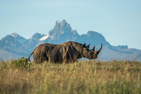 Von Mombasa aus: 3-tägige Tsavo West National Park Safari