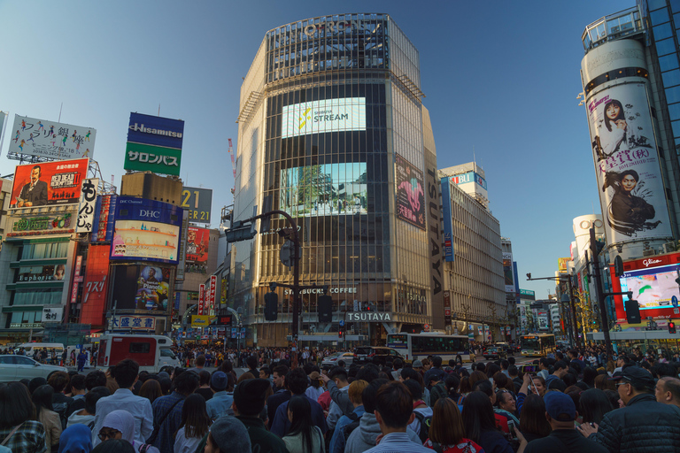 Tokyo: First/Last Day Tour for Haneda & Cruise Guests Haneda Airport → Tokyo