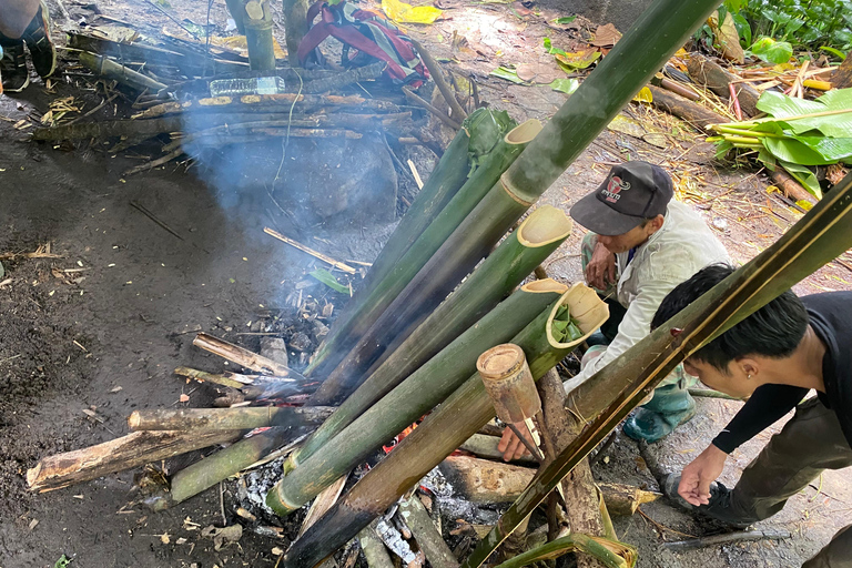 Authentic trek only walk in Chiang Rai jungle Authentic trek only walk in ChiangvRaiv jungle